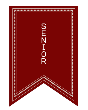 senior senior