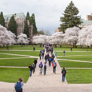 People stroll along the pathways of a university campus, soaking in the beauty as cherry blossom trees line their walkways—a perfect backdrop for college tours.